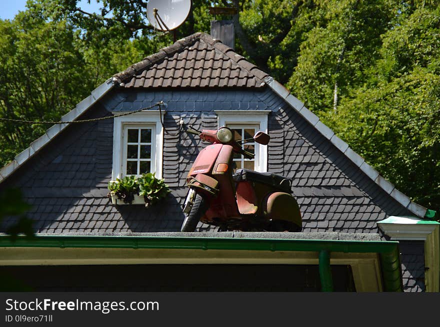 Roof, House, Home, Tree