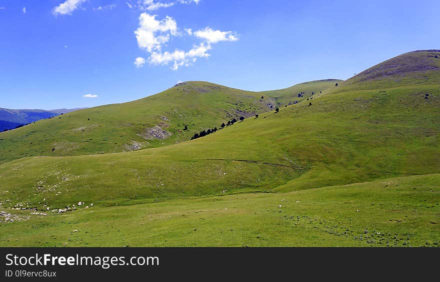 Grassland, Highland, Ecosystem, Hill