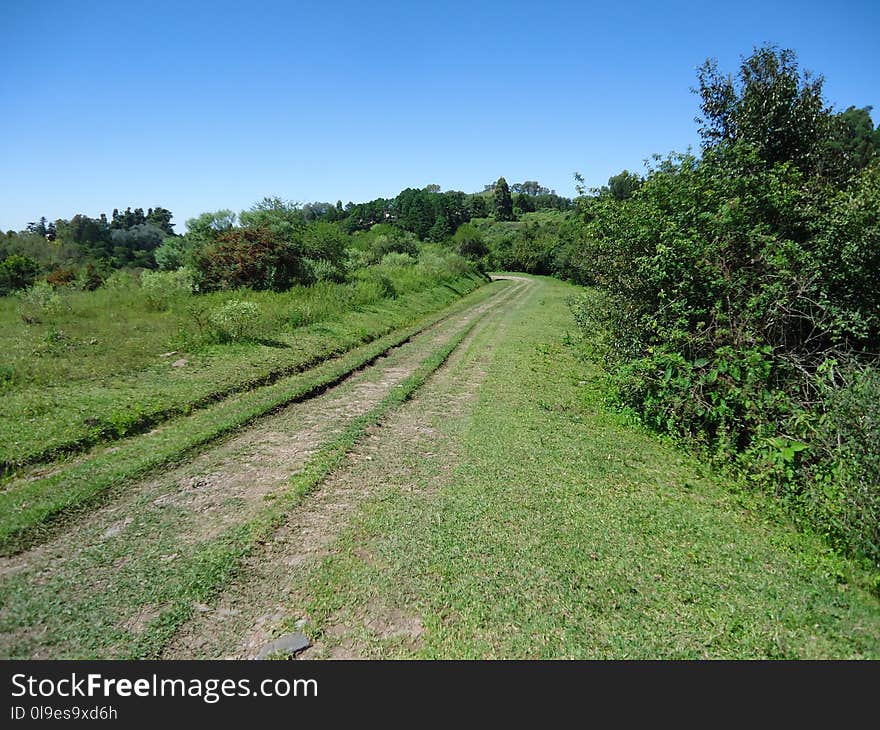 Vegetation, Path, Nature Reserve, Grassland