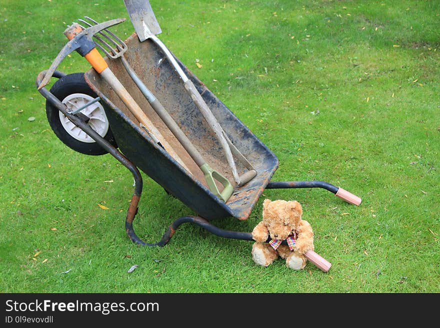 Grass, Lawn, Cart, Wheelbarrow