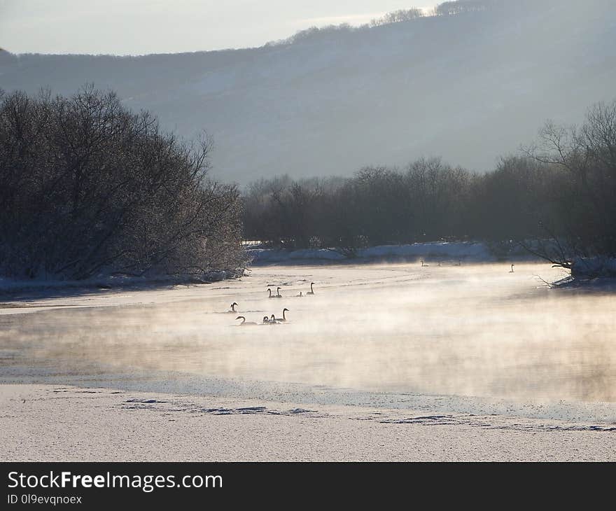 Water, Winter, Sky, Freezing