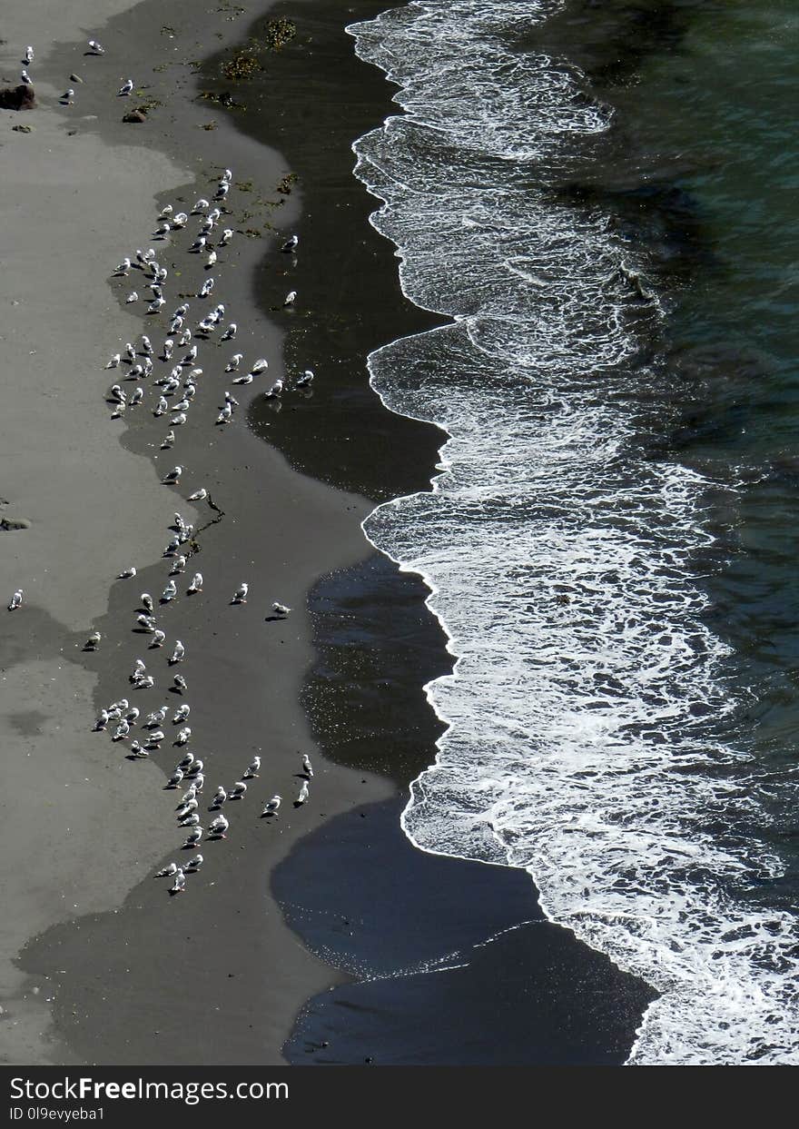 Water, Reflection, Water Resources, River