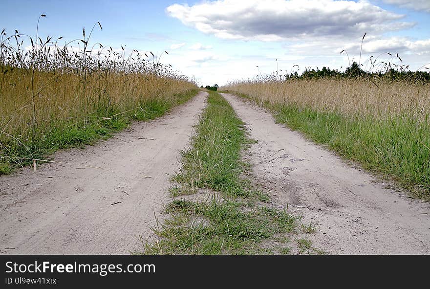 Road, Path, Ecosystem, Sky