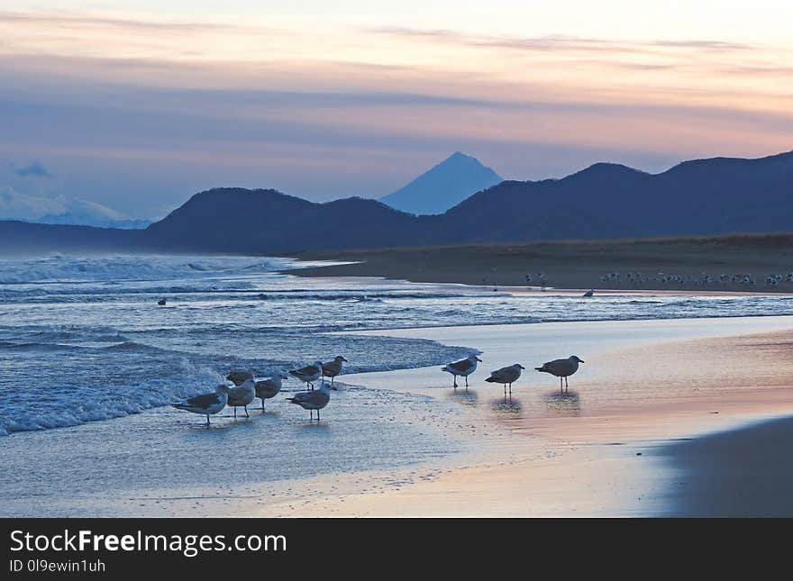 Sea, Coastal And Oceanic Landforms, Coast, Ocean