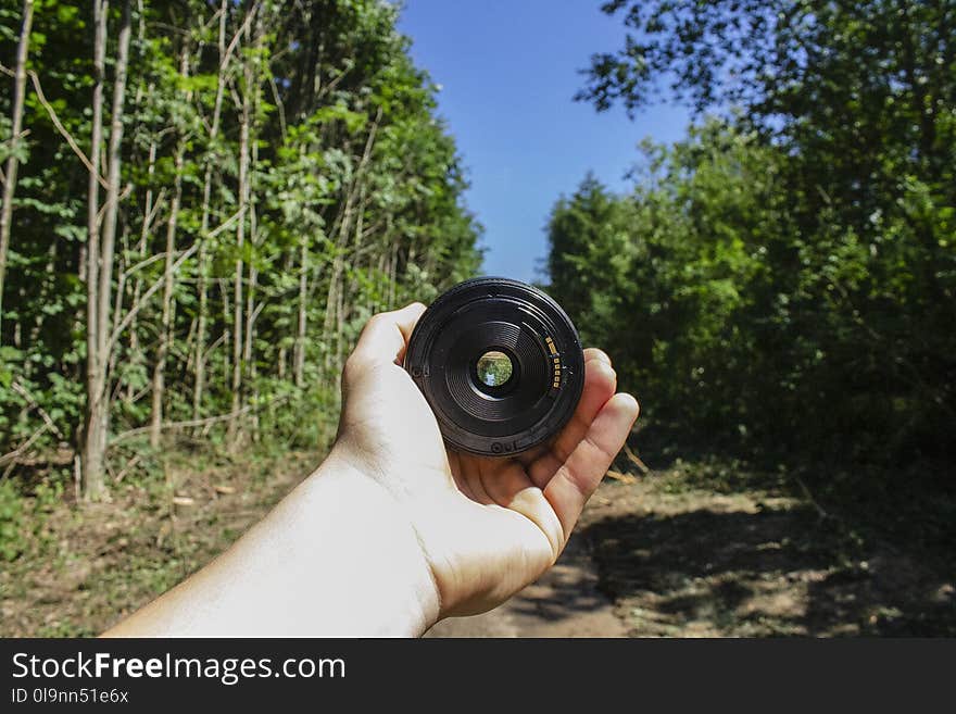 Person Holding Camera Lens in Woods