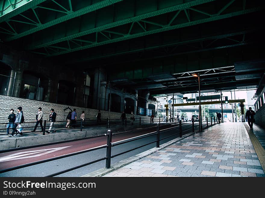 People Walking in the Street