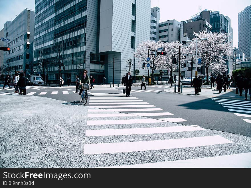 People Crossing Pedestrian Lane