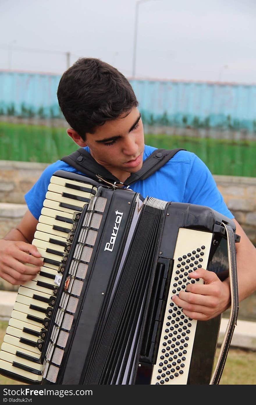 Accordionist, Accordion, Garmon, Free Reed Aerophone