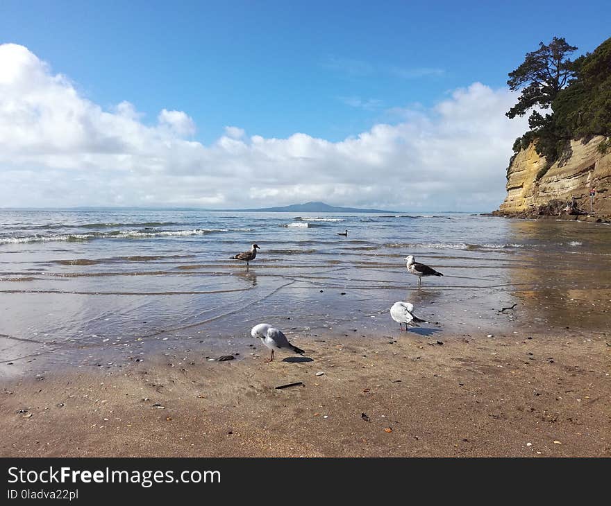 Coast, Shore, Sea, Coastal And Oceanic Landforms