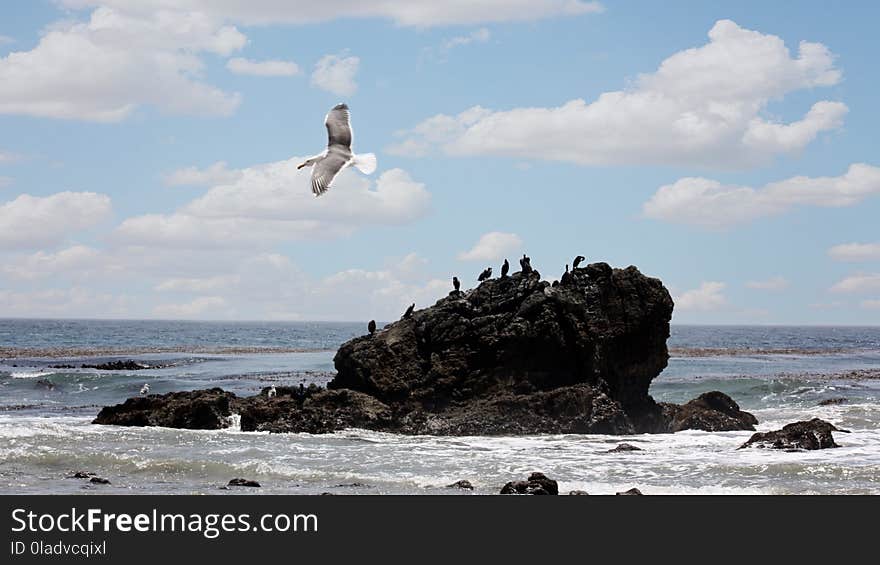 Coastal And Oceanic Landforms, Sea, Sky, Coast