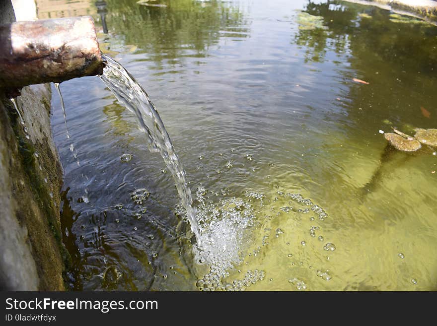 Water, Body Of Water, Water Resources, Pond