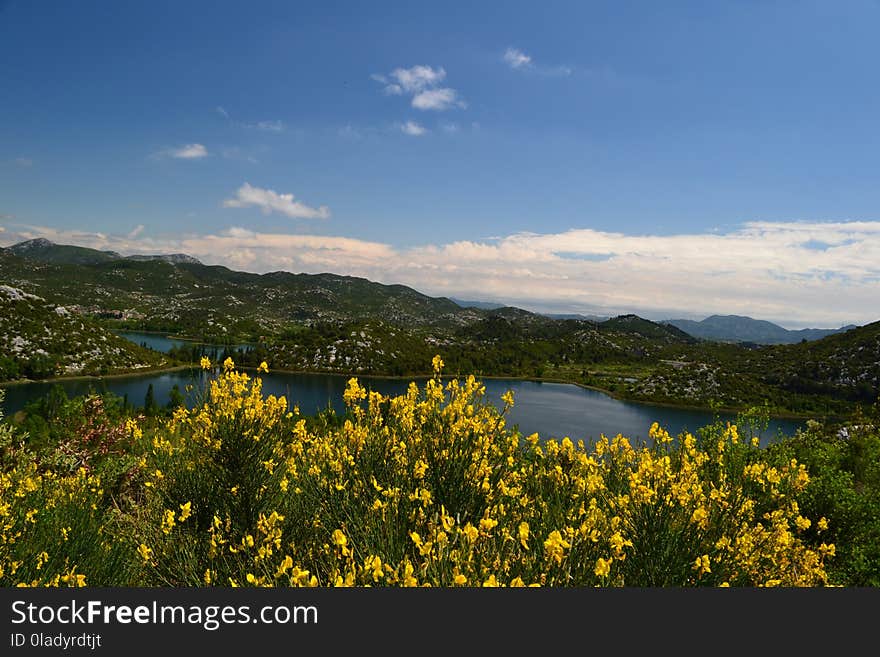 Nature, Sky, Yellow, Wilderness