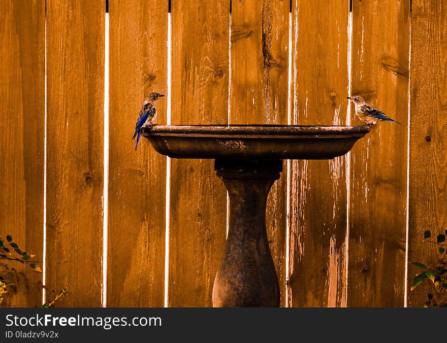 Wood, Wall, Wood Stain, Still Life Photography