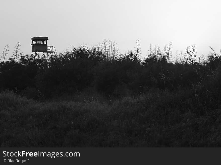 Black, Black And White, Sky, Monochrome Photography