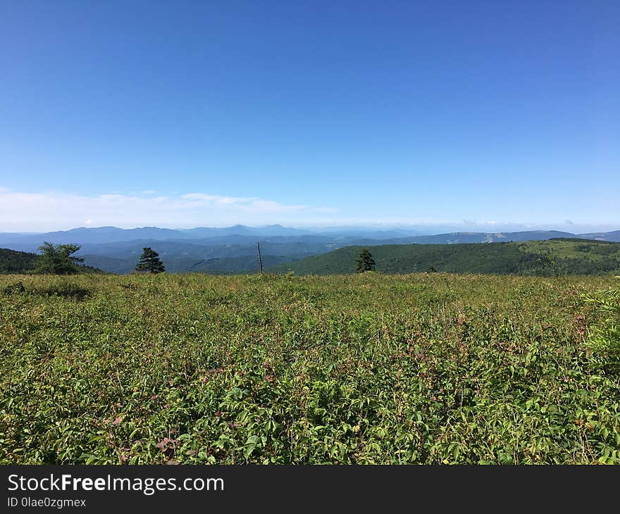 Grassland, Vegetation, Sky, Ecosystem