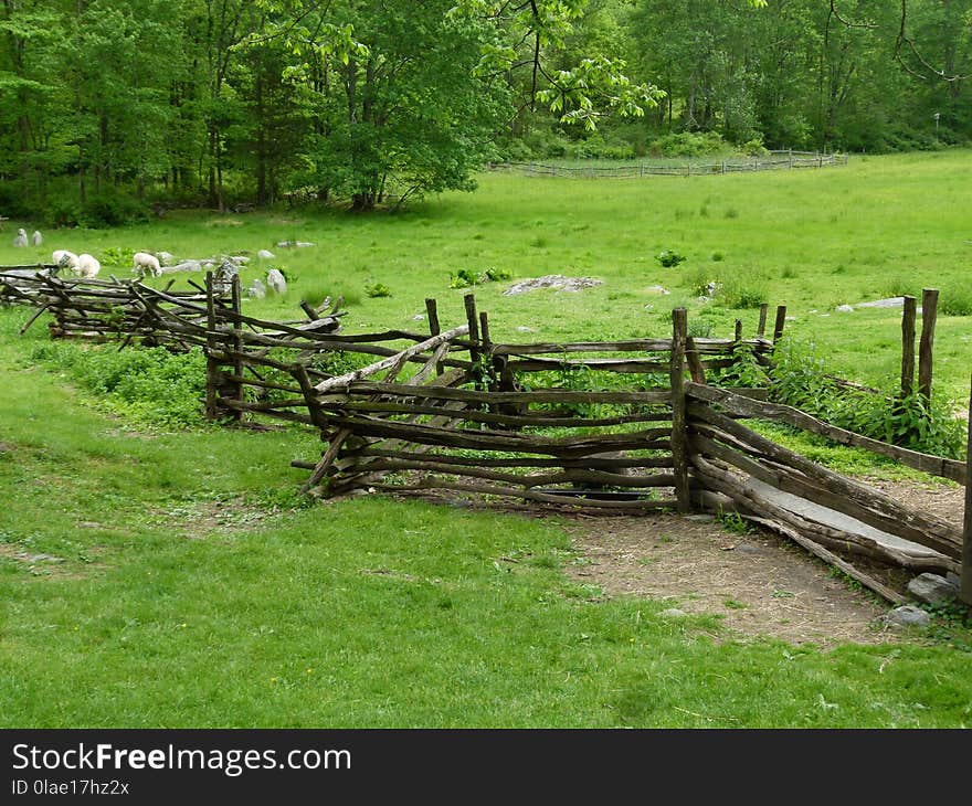 Nature Reserve, Pasture, Split Rail Fence, Fence