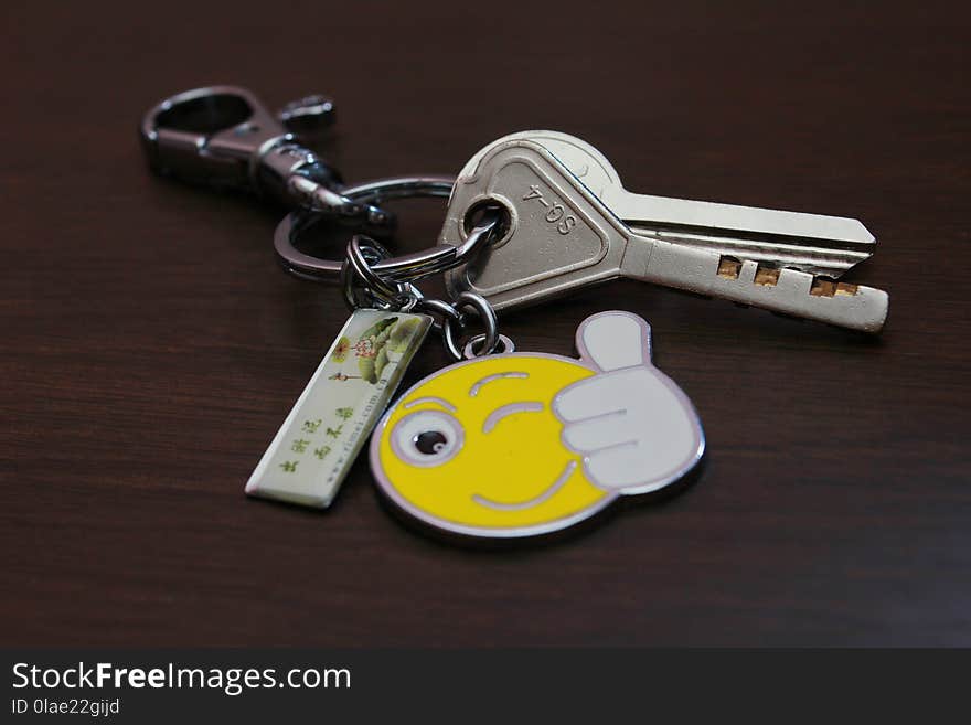 Fashion Accessory, Keychain, Product, Hardware