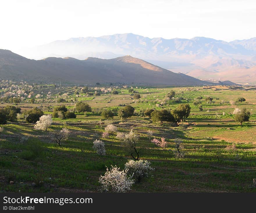 Highland, Grassland, Hill, Plain