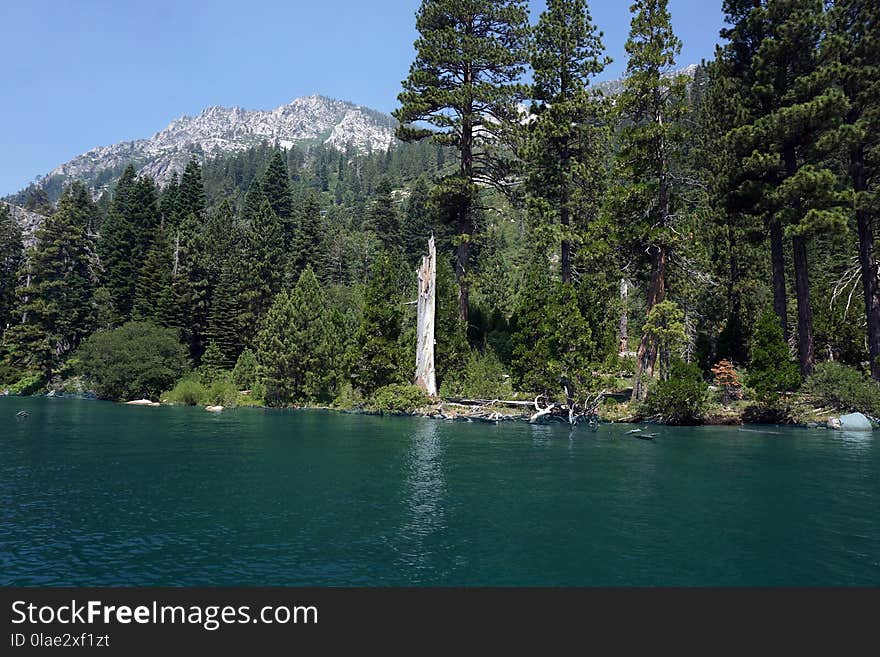 Water, Nature, Lake, Body Of Water