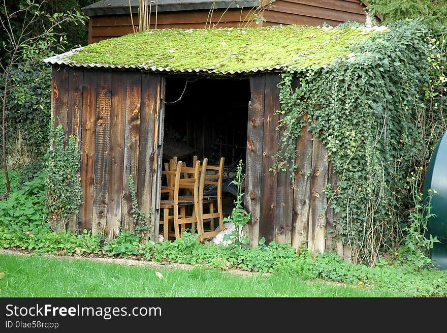 Shed, House, Outdoor Structure, Grass