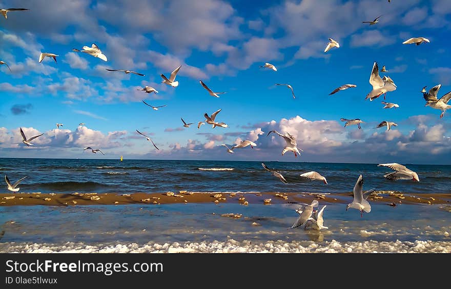 Sky, Sea, Ecosystem, Water