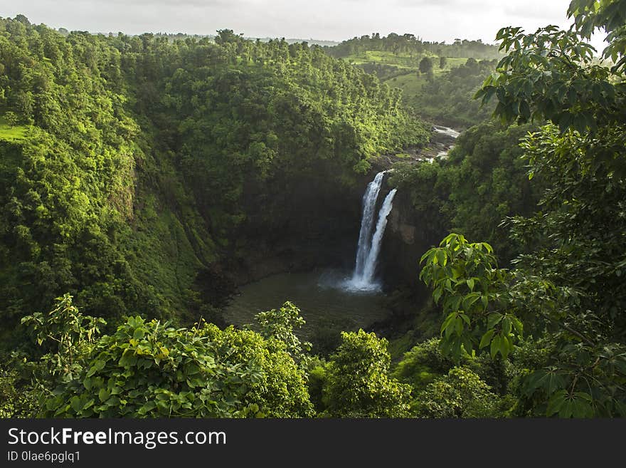 Waterfall, Vegetation, Nature, Nature Reserve