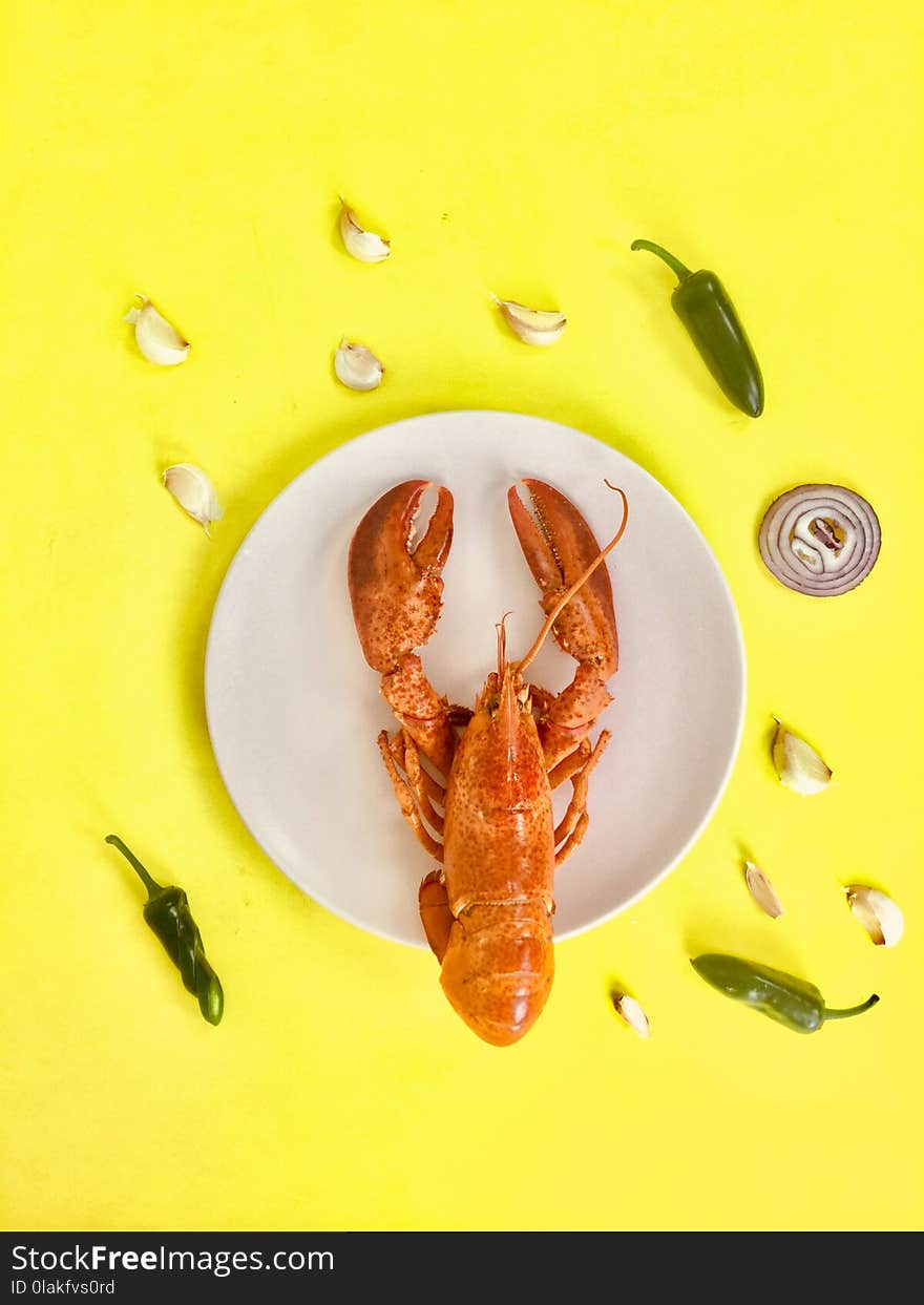 Lobster on Round White Ceramic Plate