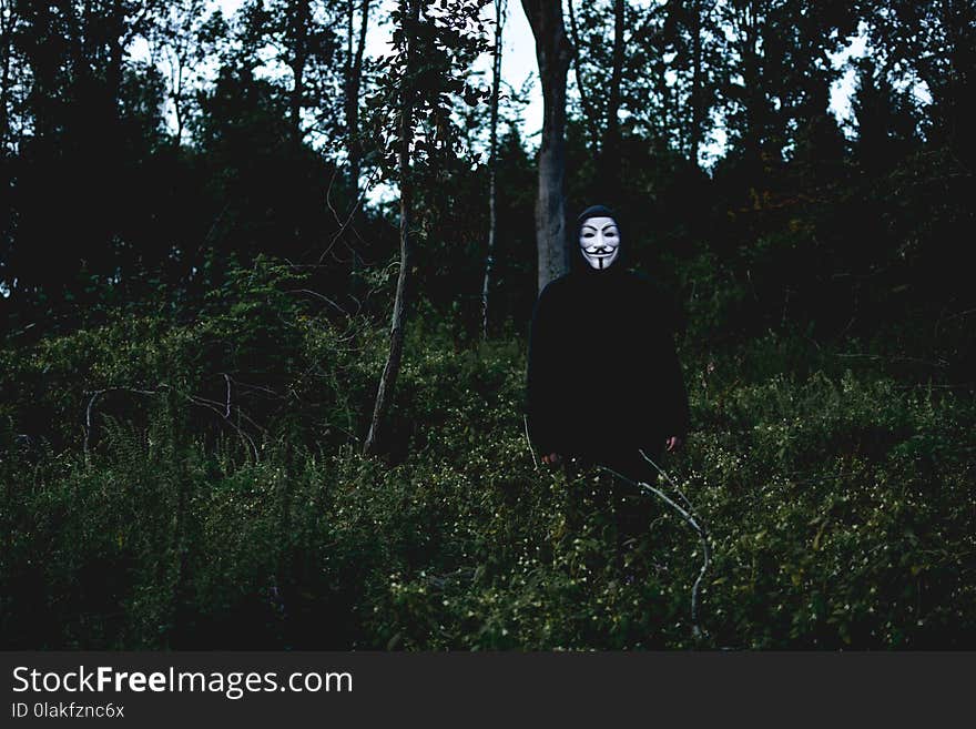 Man in Middle of Grass Field