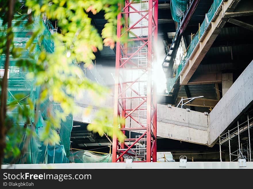 Green Leafed Tree Beside Red Metal Trusses and Building