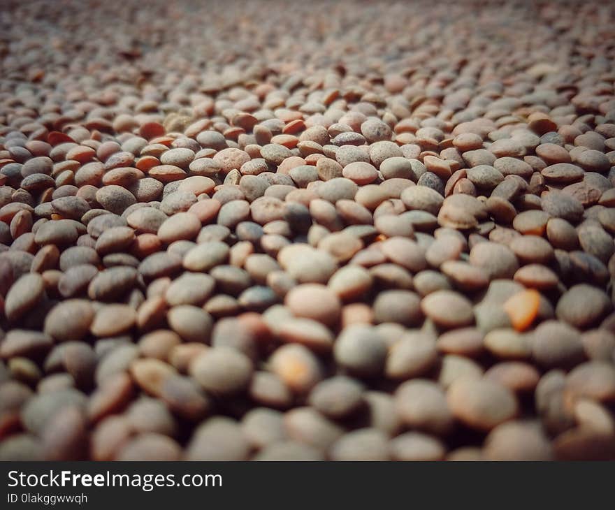 Selective Focus Photography of Piled Gray Rocks