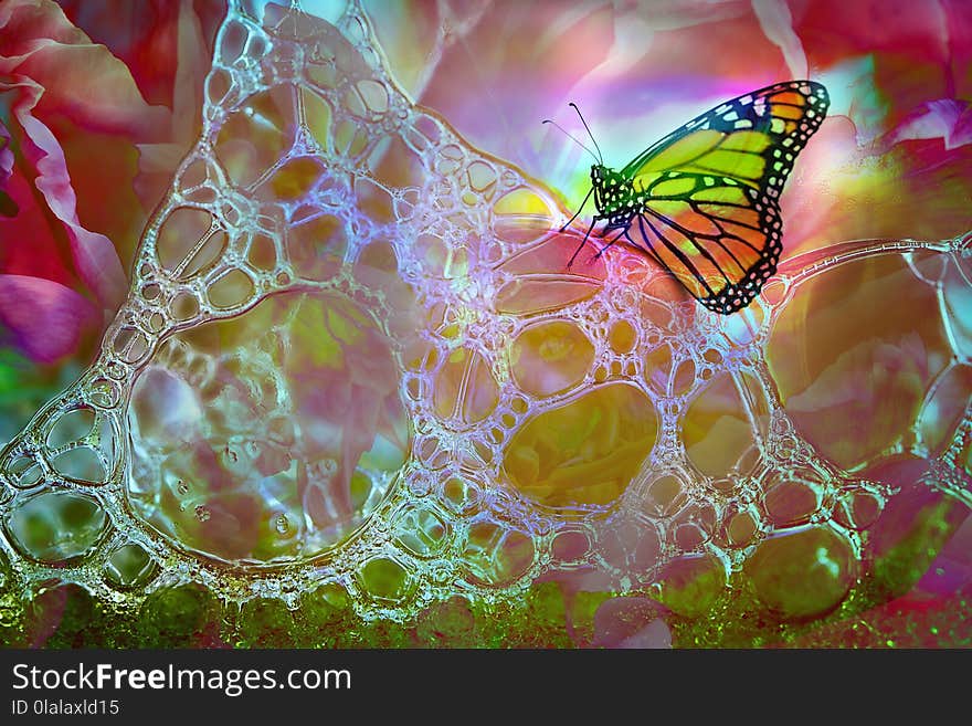 A colorful wallpaper design incorporating soap bubbles, a flower and a butterfly - bright and happy. A colorful wallpaper design incorporating soap bubbles, a flower and a butterfly - bright and happy