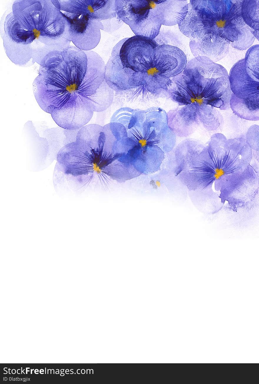 Pansy illustration for elegant design