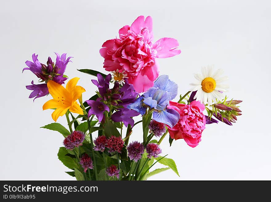a bouquet of different wild field and garden flowers: chamomile, bell, lily, chives, iris, peony.
