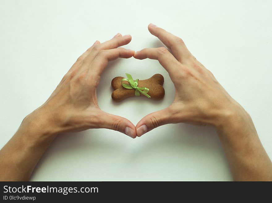 Dog Biscuits Bone Shaped Wrapped As Gift In Heart Shape Hands.