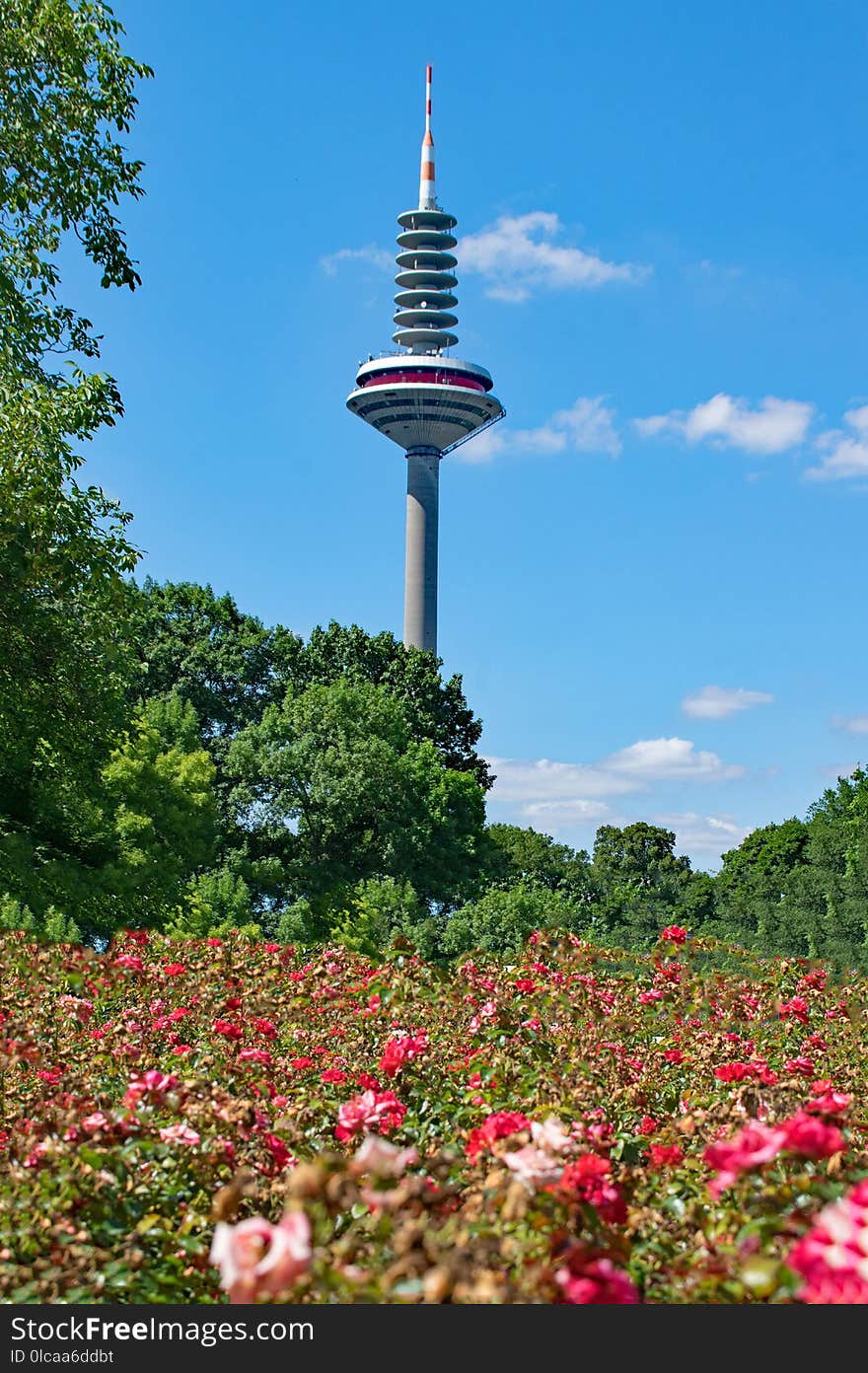 Landmark, Tower, Sky, Flower