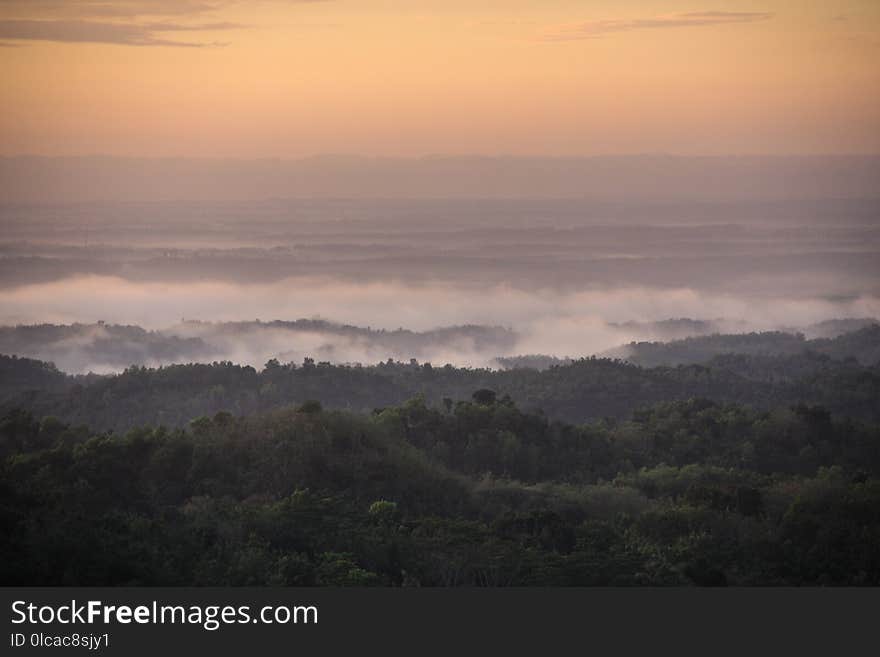 Sky, Mist, Dawn, Morning