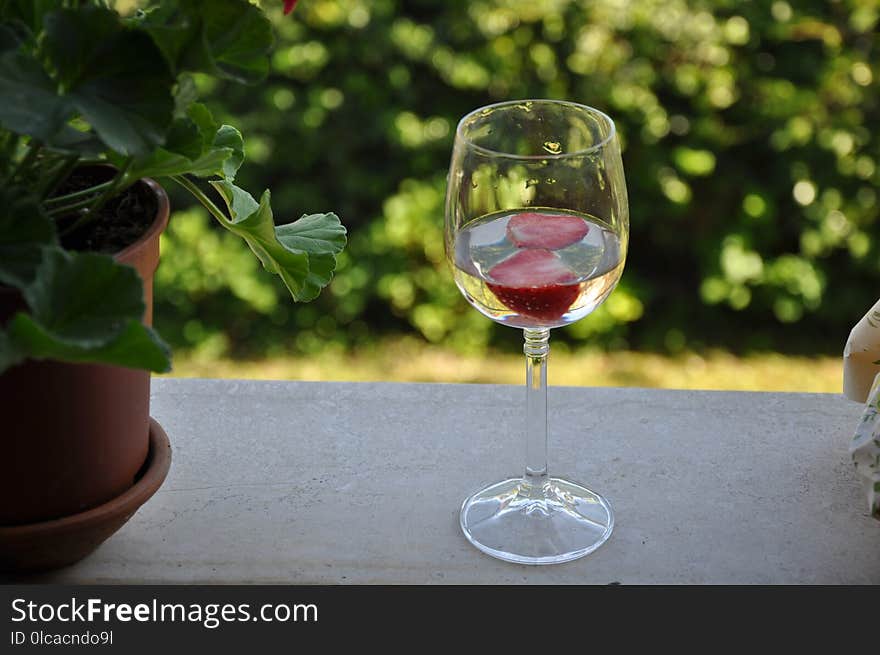 Wine Glass, Stemware, Glass, Tableware