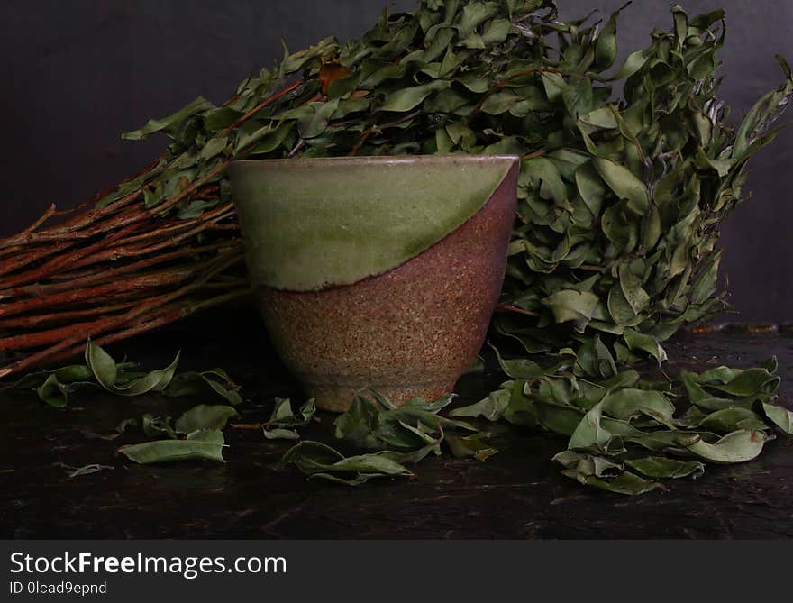 Still Life, Flowerpot, Still Life Photography, Herb