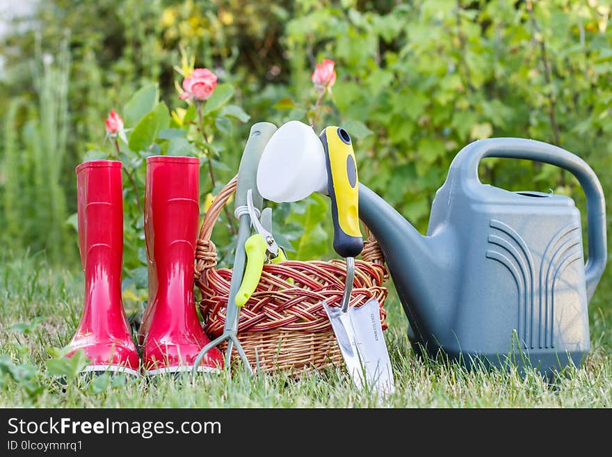 Red garden rubber boots, small rake, pruner, wicker basket, trowel and plastic watering can on green grass with blurred green background. Tools for gardening