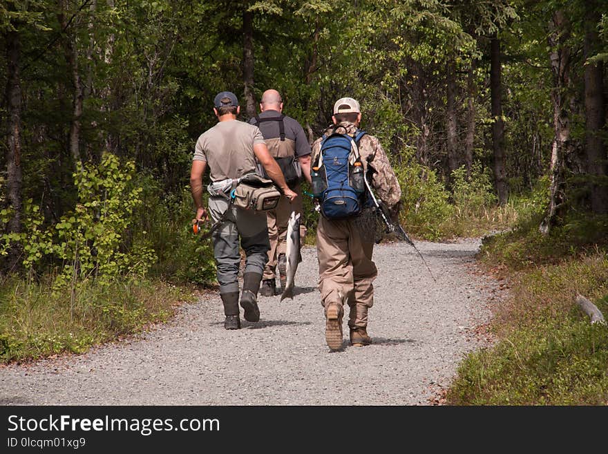 Land Vehicle, Path, Wilderness, Vehicle