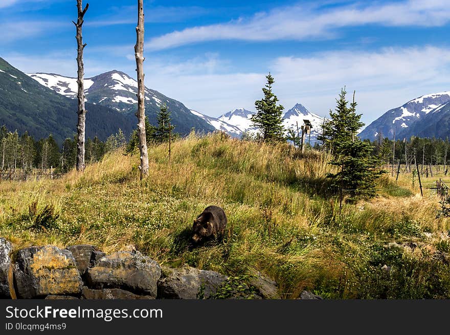 Wilderness, Nature, Mountain, Mountainous Landforms