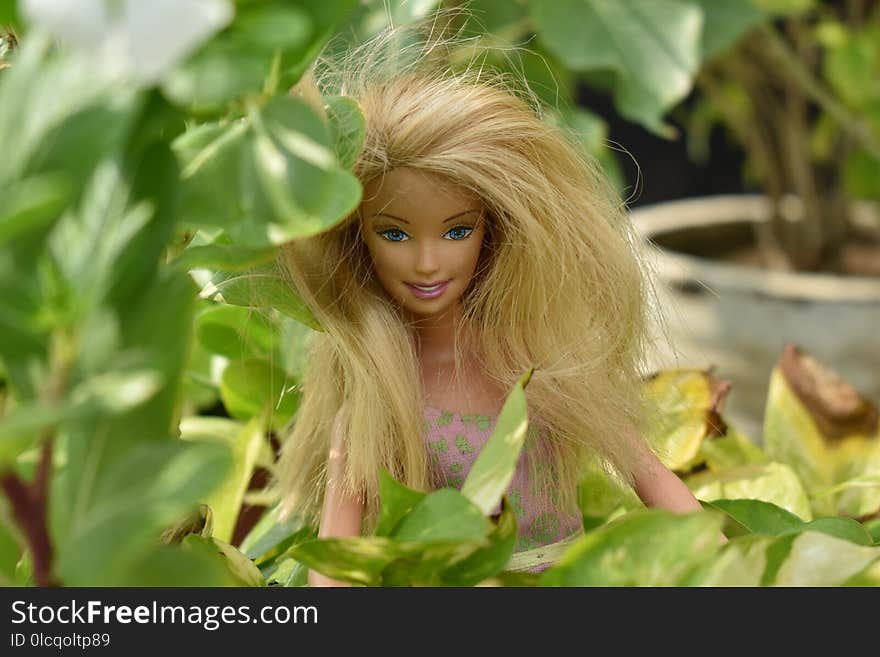 Doll, Grass, Blond, Plant