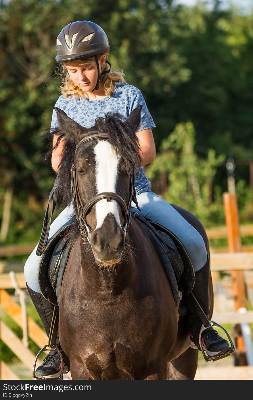 Horse, Bridle, Rein, Equestrianism