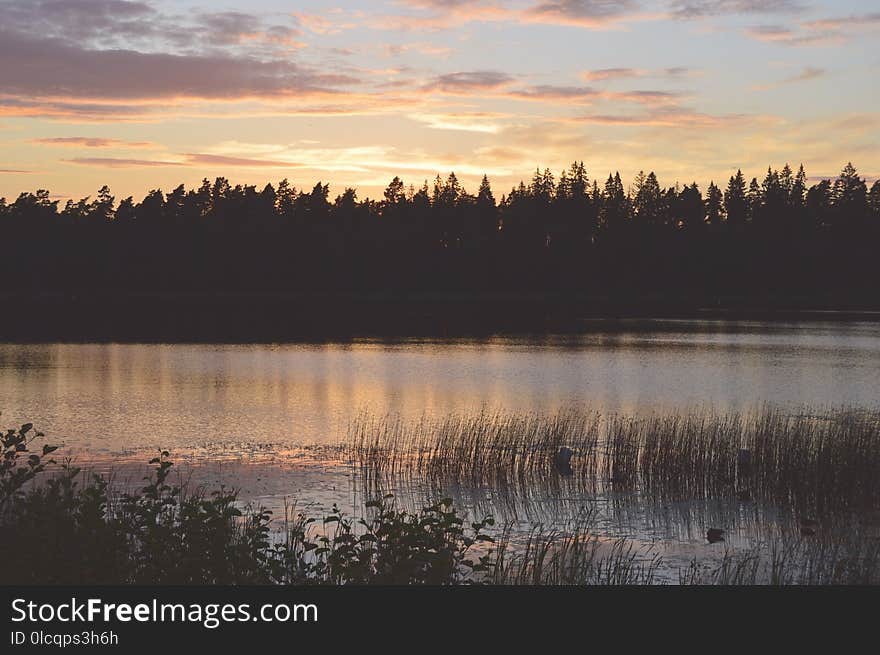 Reflection, Sky, Sunrise, Dawn