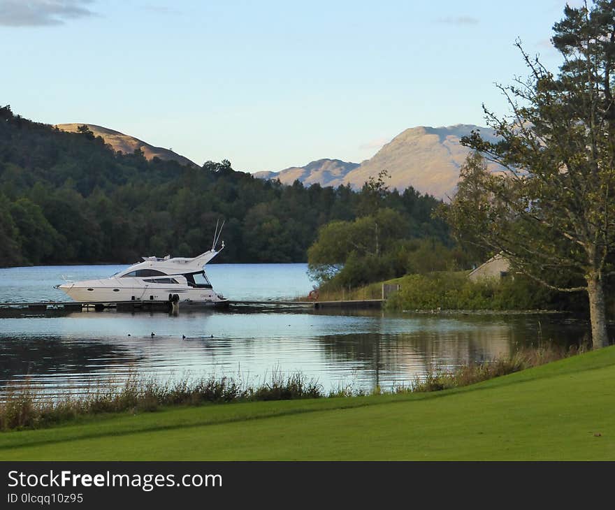 Lake, Loch, Reservoir, Tree