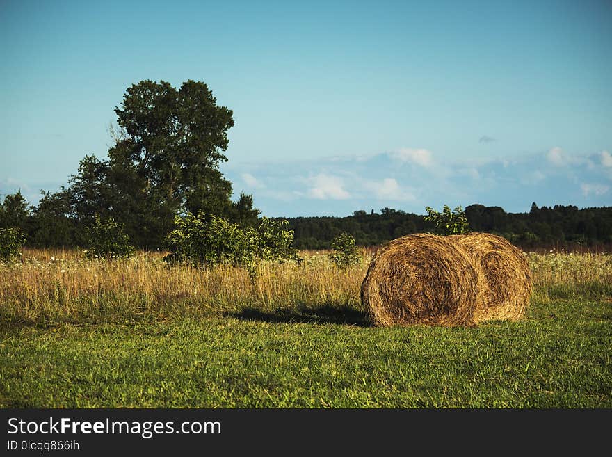 Sky, Field, Grassland, Hay