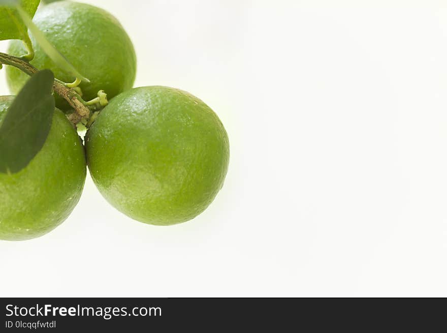 Fruit, Lime, Key Lime, Produce