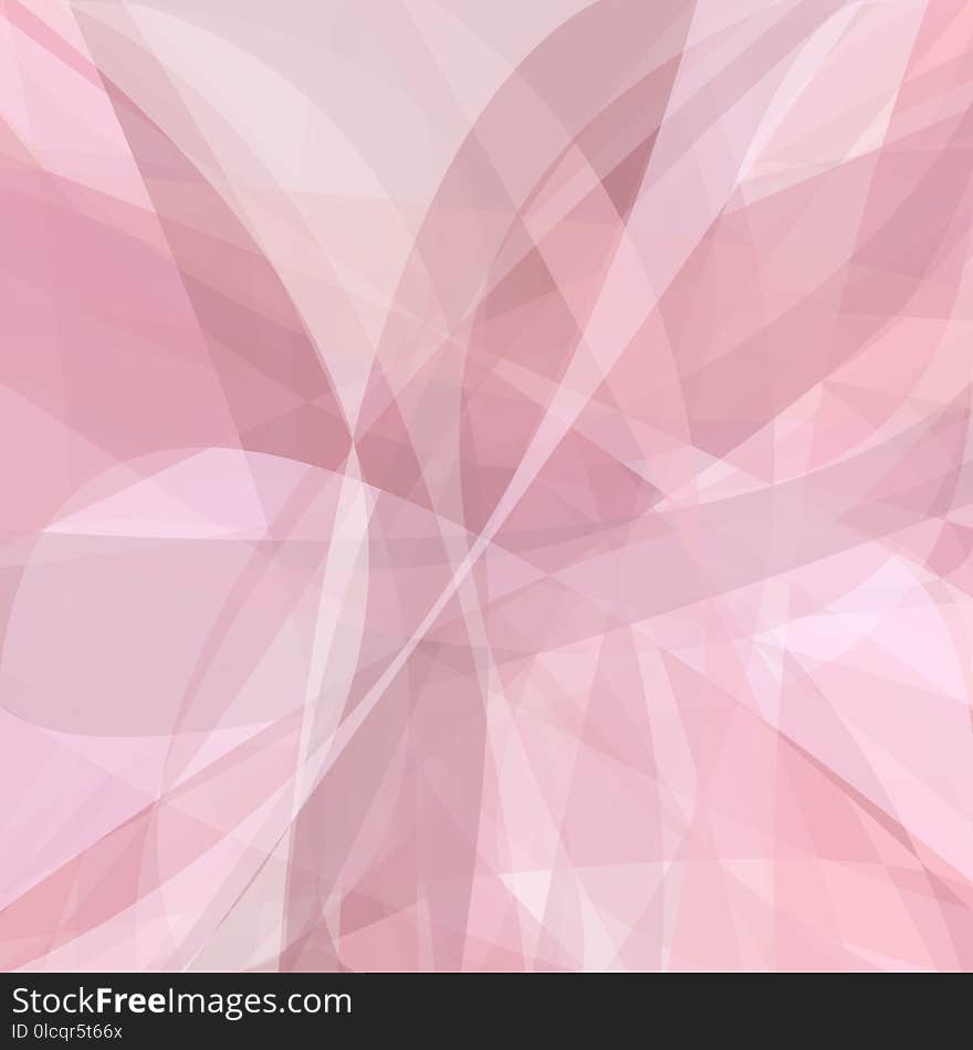 Pink, Petal, Line, Design