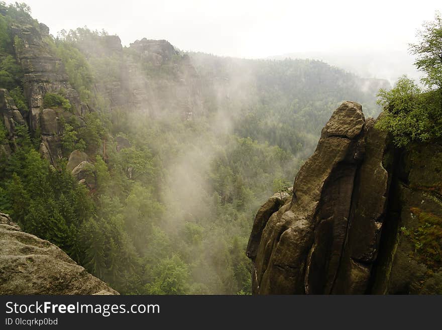 Nature, Nature Reserve, Wilderness, Vegetation