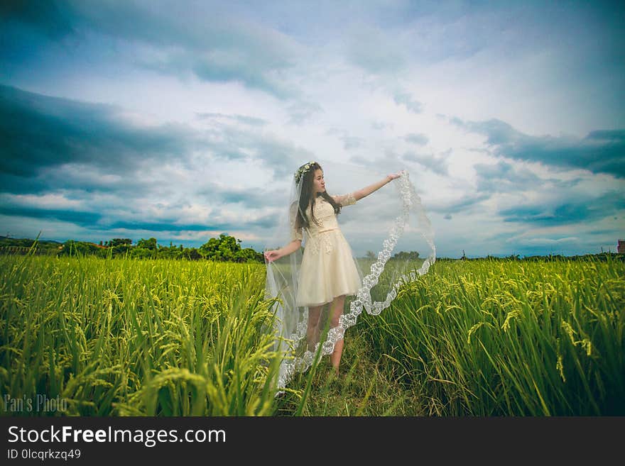 Sky, Grassland, Photograph, Field